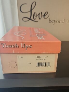 Touch Ups Pink and Champagne Shoe Box